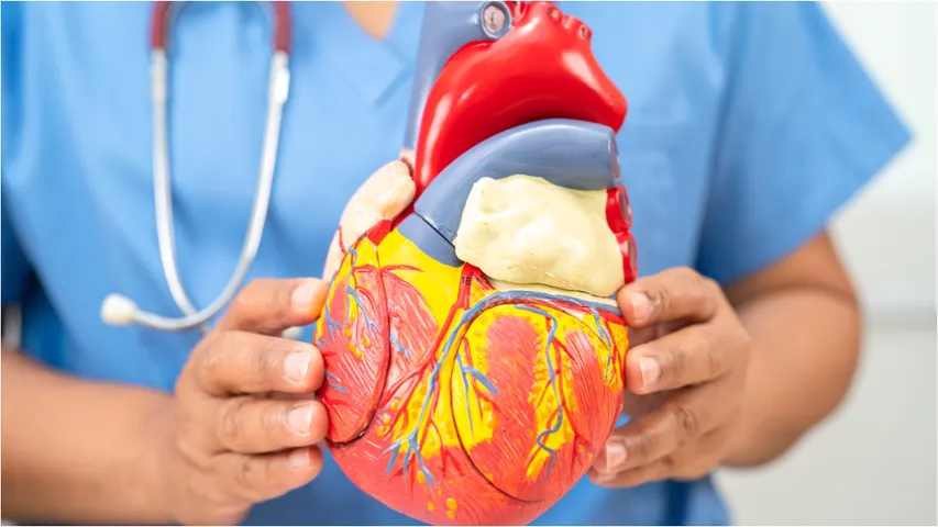 Heart Disease : ఛాతీ ఎడమ వైపు నొప్పి అంటే గుండెపోటు అని అర్థమా? నిజం తెలుసుకోండి!