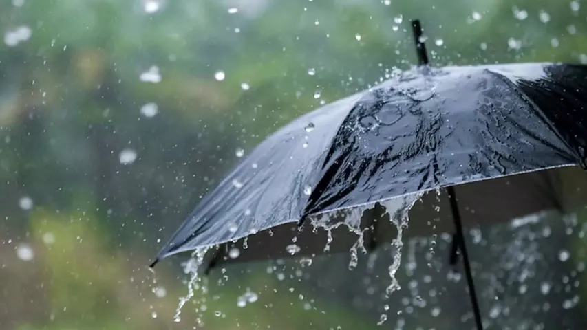 Rainy Season Tips: వర్షాకాలంలో ఈ వ్యాధులతో జాగ్రత్త!