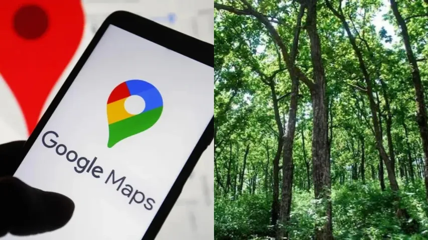 Google Maps: గూగుల్‌ మ్యాప్స్‌ను నమ్ముకొని.. దట్టమైన అడవిలో చిక్కుకున్న విద్యార్థులు