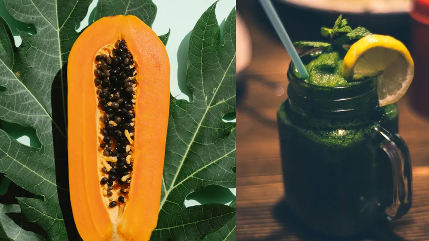 Papaya Leaves: డెంగ్యూ  రోగులకు ఈ ఆకు రసం ఔషధం ...!