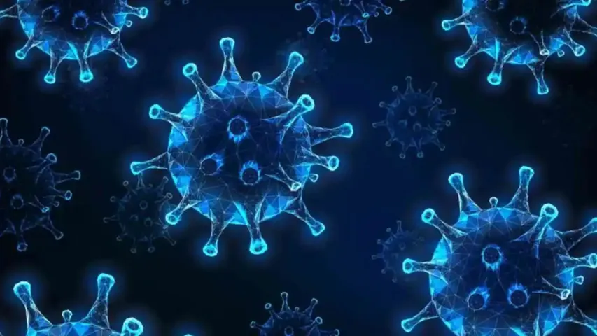Chandipura Virus : భయపెడుతున్న చాందీపుర వైరస్.. 16 మంది మృతి