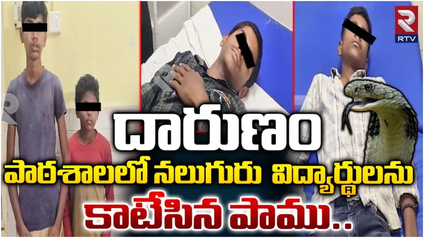 Snake Bite: గద్వాల్‌లో ఘోరం.. నలుగురు విద్యార్థులకు పాముకాటు