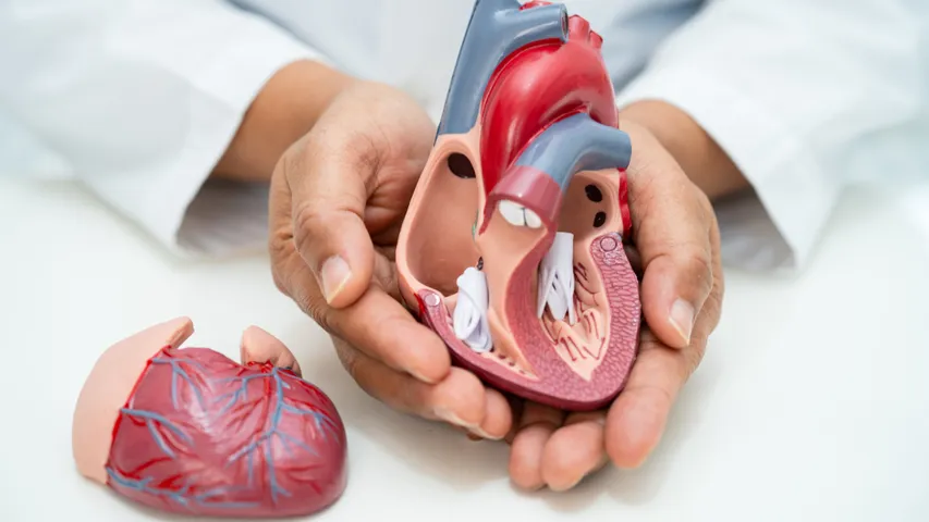 Heart Blockage: మీ రోజువారీ అలవాటులో ఇవి చేర్చుకుంటే గుండె చాలా సేఫ్!