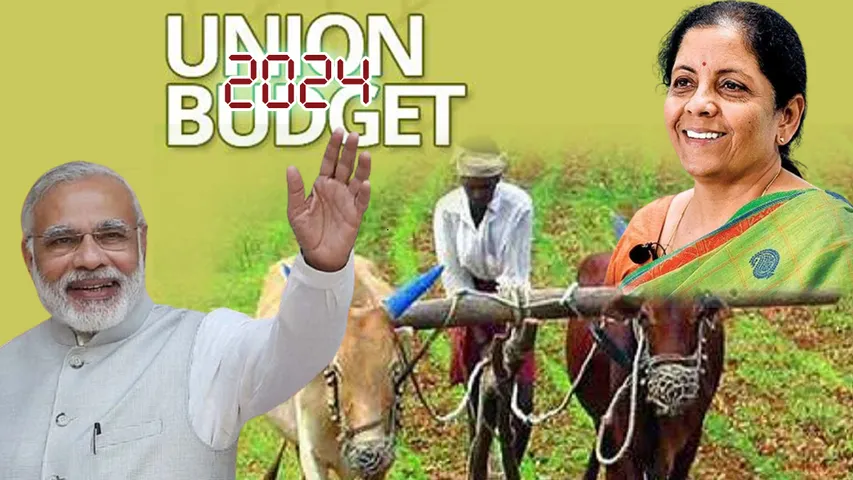 PM Kisan Yojana: బడ్జెట్ లో రైతులకు శుభవార్త చెబుతారా? పీఎం కిసాన్ డబ్బులు పెరుగుతాయా? 