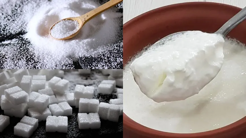 Curd: ఉప్పు లేదా చక్కెర.. పెరుగులో ఏది ఆరోగ్యానికి మంచిది?