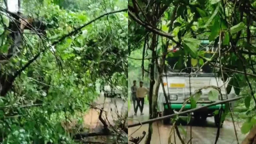 AP: రోడ్డుకు అడ్డంగా పడిన భారీ వృక్షం.. ప్రయాణికులు ఏం చేశారంటే..!