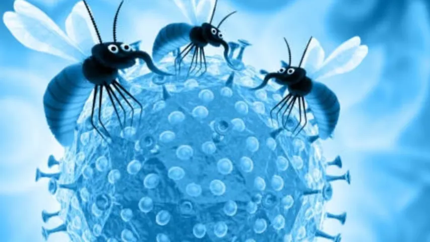 Zika Virus : పుణెలో జికా వైరస్ కలకలం‌.. ఇద్దరు గర్భవతులకు పాజిటివ్!