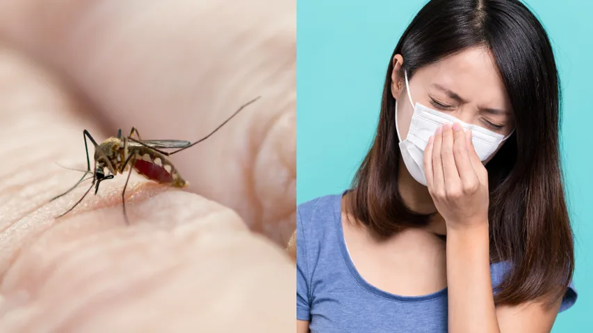 Viral Infections: జికా, నిపా లేదా చండీపురా...ఏ వైరస్ అత్యంత ప్రమాదకరం?