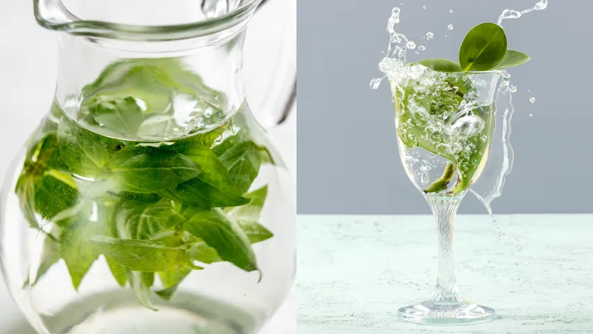 Basil Water