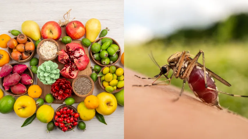 Dengue : డెంగీ సమయంలో ఈ పండ్లను తినండి.. ప్లేట్‌లెట్ కౌంట్ వెంటనే పెరుగుతుంది!