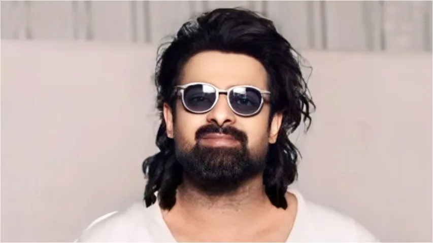 Prabhas : విలన్‌గా ప్రభాస్.. సందీప్‌ వంగా సినిమాలో డబుల్ ధమాకా?