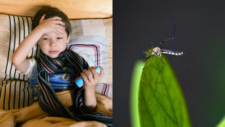 Dengue Fever: హైదరాబాద్ ప్రజలకు GHMC అలర్ట్.. డెంగీ రాకుండా ఈ జాగ్రత్తలు తీసుకోవాలని సూచన!