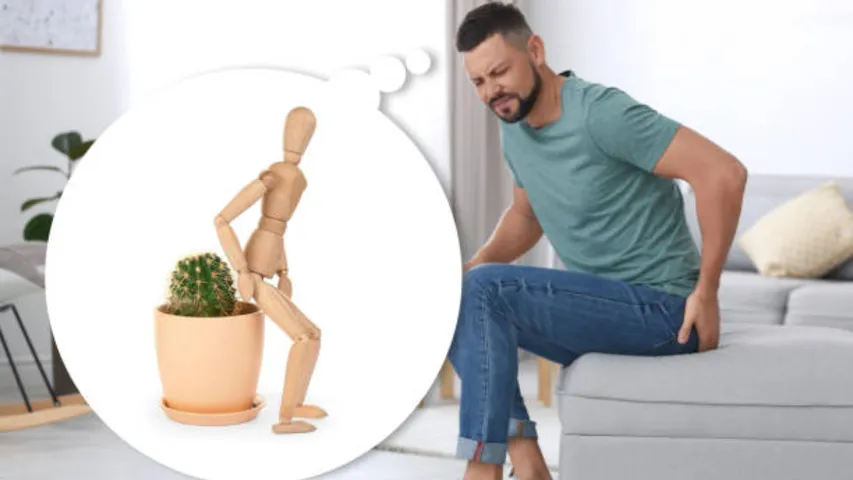 Piles Symptoms: ఇవి పైల్స్‌కు సంకేతాలు.. విస్మరించవద్దు!