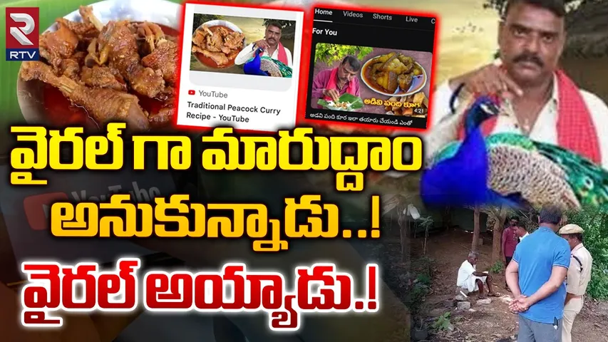 YouTube : నెమలి కూర వండి వీడియో అప్‌లోడ్ చేశాడు.. చివరికి
