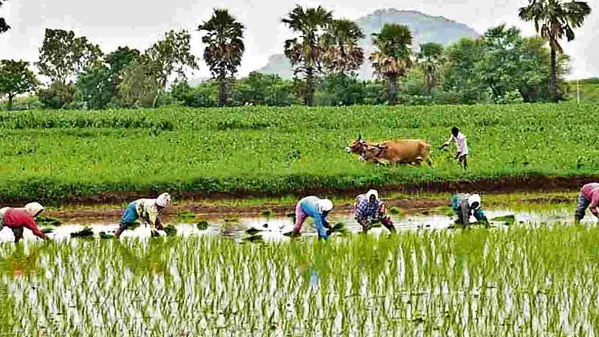 Telangana: రుణమాఫీ కానివారు ఆందోళన పడొద్దు.. వ్యవసాయశాఖ కీలక ప్రకటన