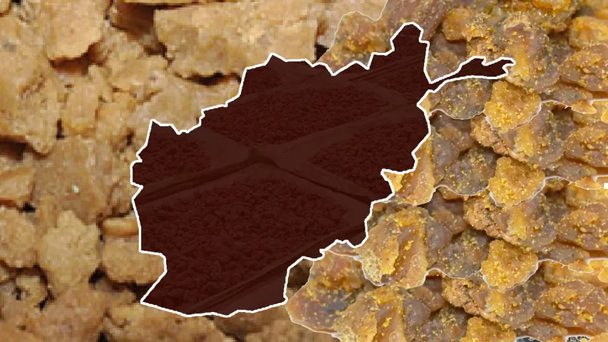 Devils Dung: ఆఫ్ఘనిస్తాన్ దెయ్యాల పేడ మన దేశానికి.. దాంతో ఏం చేస్తారో తెలిస్తే అవాక్కవుతారు!