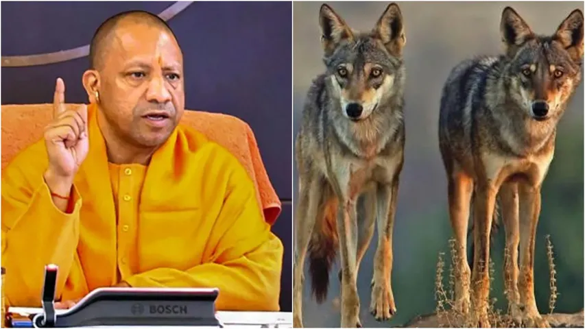 Uttar Pradesh: ‘ఆపరేషన్‌ భేడియా’.. కనిపిస్తే కాల్చేయండి: సీఎం యోగి
