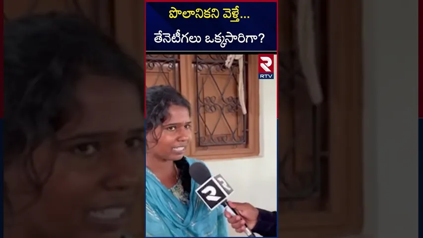పొలానికని వెళ్తే...తేనెటీగలు ఒక్కసారిగా?! Man Dies of Honey Bee's Attack in Karim Nagar  | RTV