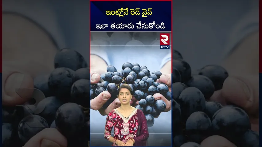 ఇంట్లోనే రెడ్‌ వైన్‌ ఇలా తయారు చేసుకోండి | Prepare Red wine simply | RTV