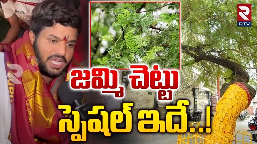 జమ్మి చెట్టు స్పెషల్ ఇదే..! | Importance of Jammi Chettu | Pooja Vidhanam | Karimnagar | RTV