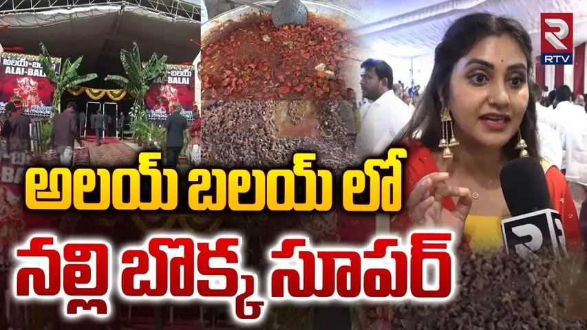 నల్లి బొక్క మాత్రం సూపర్..| Actress Naveena Alai Balai Program In Hyderabad 2024 | RTV