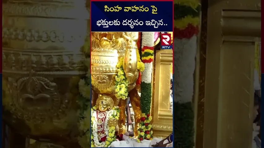 సింహ వాహనం పై భక్తులకు దర్శనం ఇచ్చిన స్వామి వారు | Tirumala Srivari Brahmotsavam | Simha Vahanam