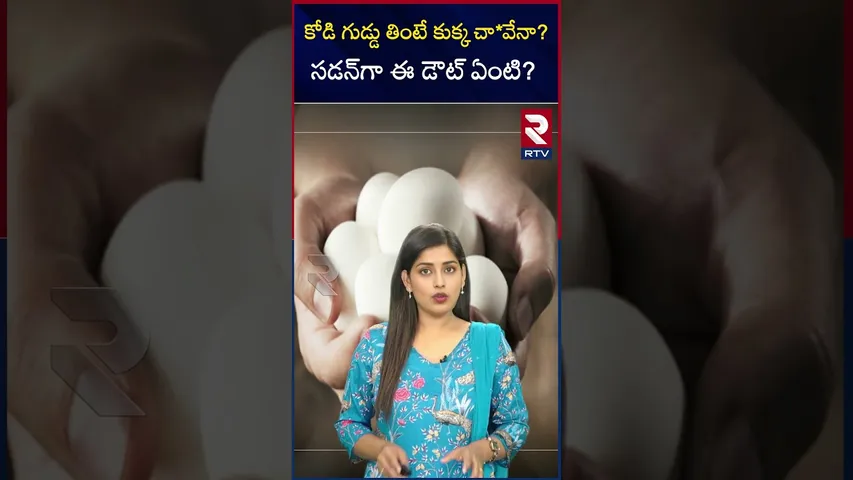 కోడి గుడ్డు తింటే కుక్క చా*వేనా?సడన్‌గా ఈ డౌట్ ఏంటి? | Eggs are risky for health | RTV