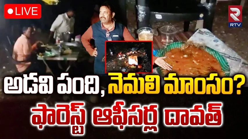 అడవి పంది, నెమలి మాంసం? 🔴LIVE : Jagtial Forest Officers Celebrate With Peacock Meat | RTV