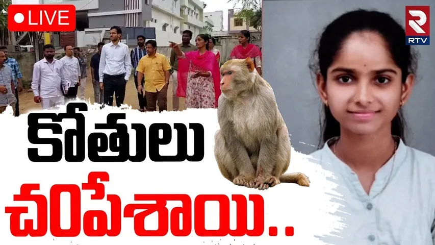 Monkeys Incident in Nizamabad🔴LIVE : కోతులు చంపేశాయి | Monkey Attack On Girl | RTV