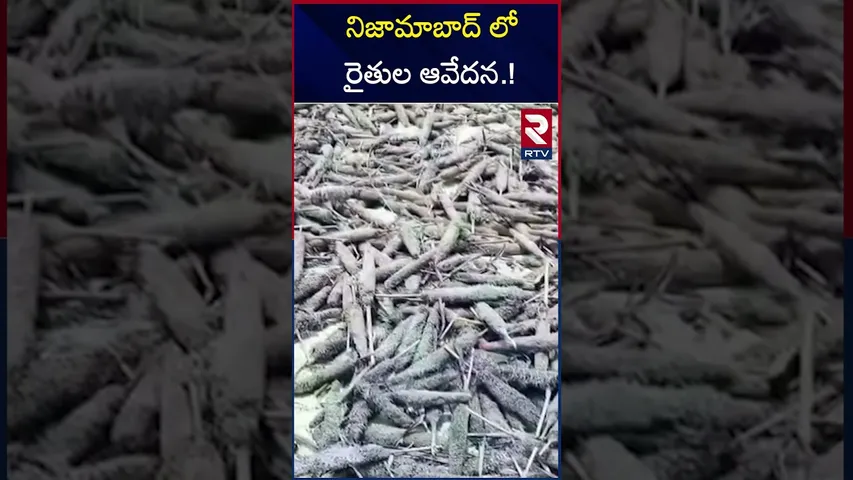 నిజామాబాద్ లో  రైతుల ఆవేదన | Farmers Lost Crop Due To Rain Fall | Nizamabad | RTV