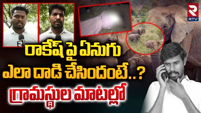రాకేష్ పై ఏనుగు ఎలా దాడి చేసిందంటే..? | Villagers About Elephant Attack On Rakesh | Tirupati | RTV