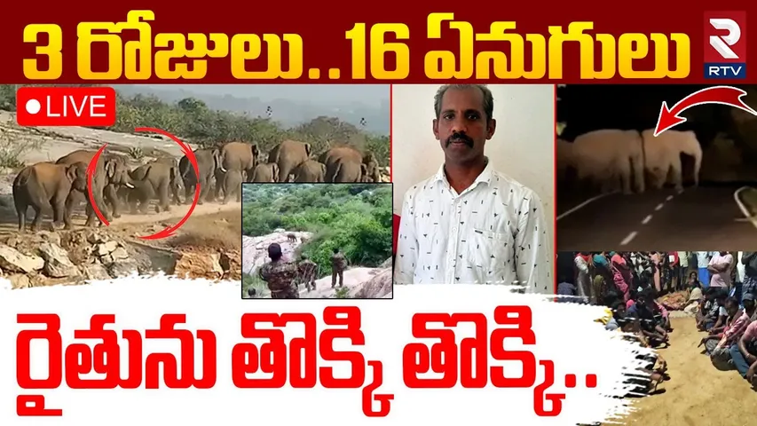 Elephants Attack On Farmer🔴LIVE : రైతును తొక్కి తొక్కి | Man Lost Life | Chittoor | Wild Elephants
