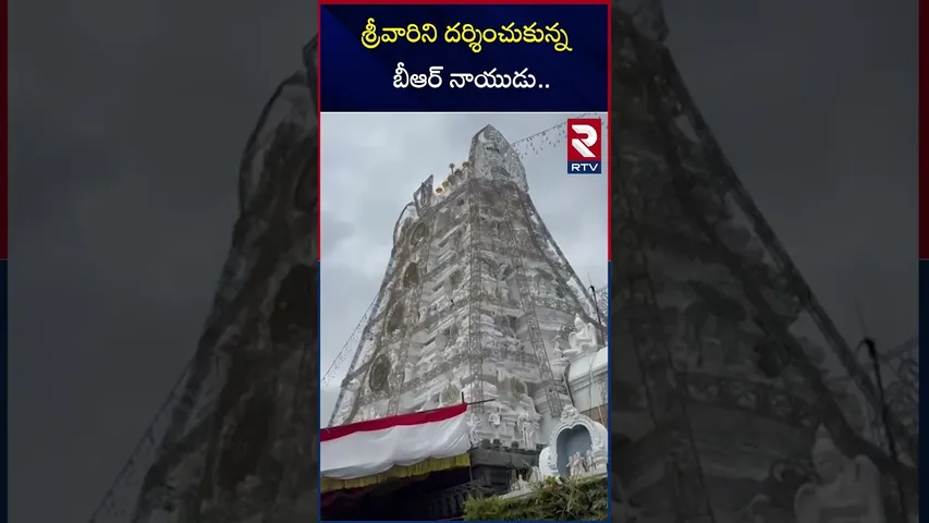 శ్రీవారిని దర్శించుకున్న బీఆర్ నాయుడు | Ttd Chairman Br Naidu Visited Tirumala | RTV