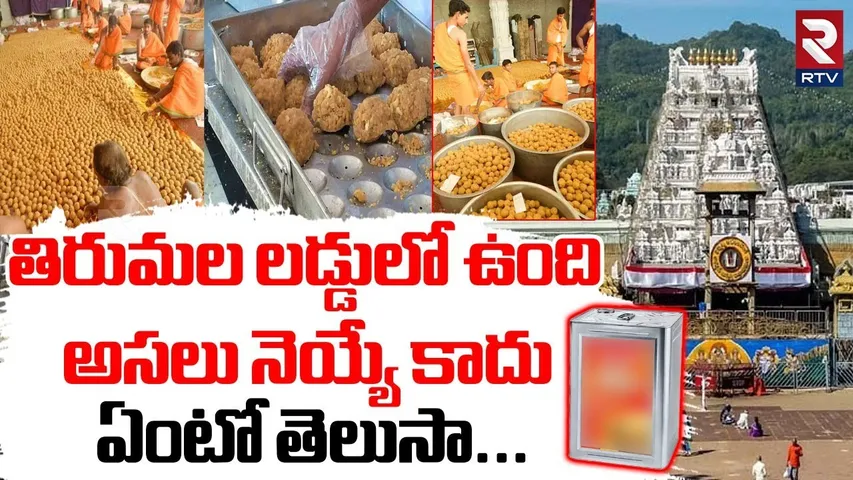 లడ్డులో ఉంది అసలు నెయ్యే కాదు..| Shocking Facts In Tirumala Laddu Adulteration | CM Chandrababu |RTV