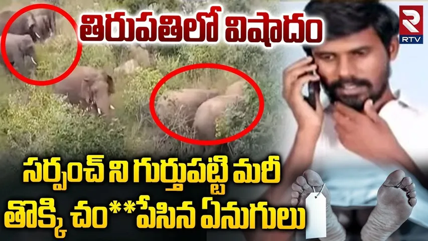 గుర్తుపట్టి మరీ  తొక్కి చం**పేసిన ఏనుగులు.. || Elephant Attack On Sarpanch Rakesh In Tirupati || RTV