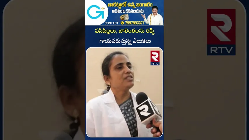 పసిపిల్లలు, బాలింతలను రక్కి గాయపరుస్తున్న ఎలుకలు | Govt Hospital | Warangal | RTV