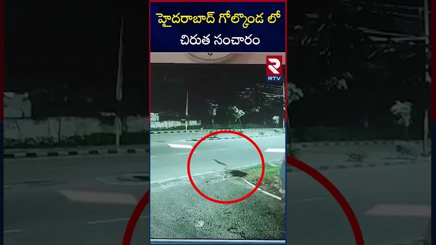 హైదరాబాద్ గోల్కొండ లో చిరుత సంచారం | Leopard Spotted In Golconda Fort | RTV