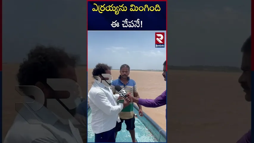 ఎర్రయ్యను చేప ఎలా మింగిందో చూడండి | Anakapalli Fisher Man Yerrayya Incident | RTV