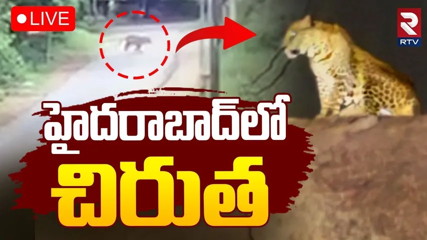 Leopard Spotted In Hyderabad🔴LIVE : హైదరాబాద్‌లో చిరుత | Greyhounds Campus | Manchirevula | RTV