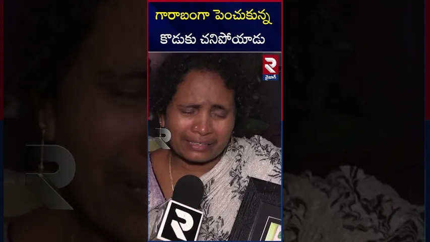 గారాబంగా పెంచుకున్న కొడుకు చ*నిపోయాడు.. బాధిత ఫ్యామిలీ | Simhachalam Incident Mother Emotional | RTV