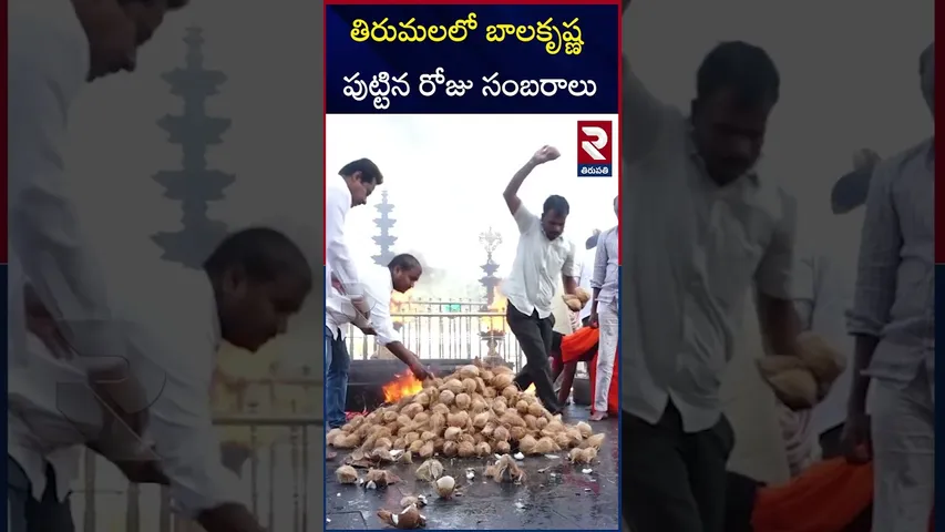 తిరుమల లో బాలకృష్ణ పుట్టిన రోజు.. 650 కొబ్బరికాయలు కొట్టిన అభిమాని | Nandamuri Balakrishna Birth Day
