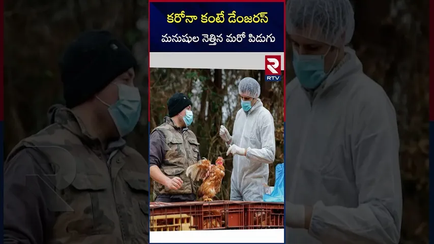 కరోనా కంటే డేంజరస్‌ మనుషుల నెత్తిన మరో పిడుగు |Bird flu Cases in 2024 |RTV