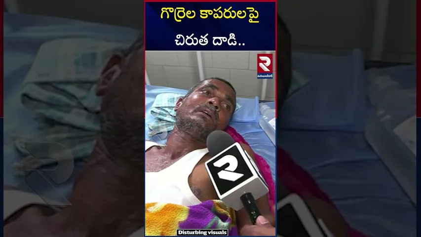 గొర్రెల కాపరులపై  చిరుత దా*డి.. | Leopard A*ttack on shepherds | Mahbubnagar | RTV