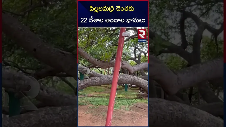 పిల్లలమర్రి చెంతకు 22 దేశాల అందాల భామలు | Miss World Contestants In Pillalamarri | RTV