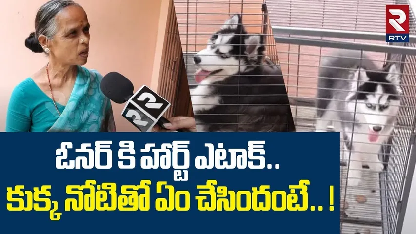 ఓనర్ కి హార్ట్ ఎటాక్.. కుక్క నోటితో ఏం చేసిందంటే.. ! | Madhunagar Dog Attack Incident | RTV