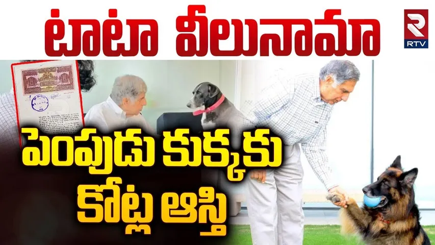 Ratan Tata's Will Share for Pet Dogs Tito and Butler | పెంపుడు కుక్కకుకోట్ల ఆస్తిటాటా వీలునామా | RTV