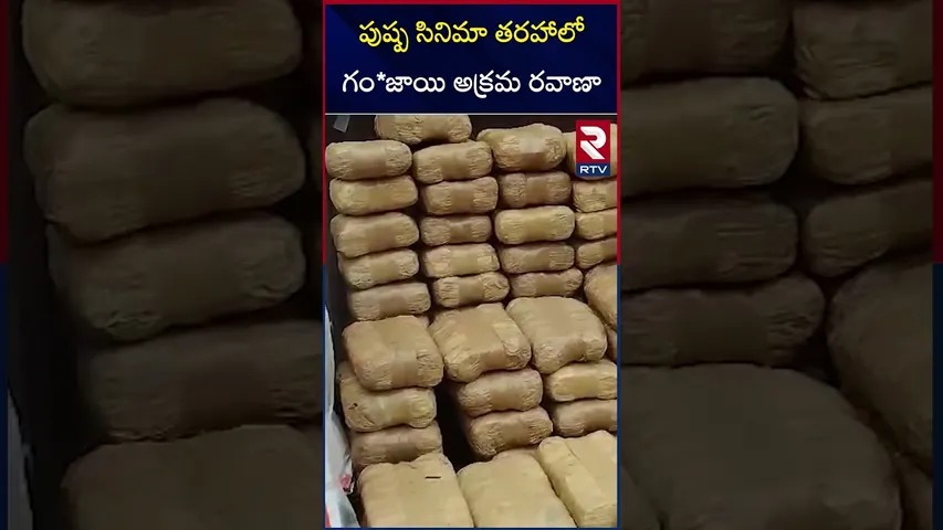 పుష్ప-2 సినిమా తరహాలో గం*జాయి అక్రమ రవాణా | Ga*nja smuggling | RTV