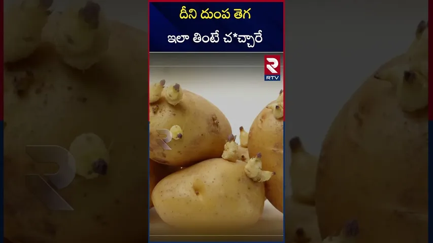 దీని దుంప తెగ ఇలా తింటే చ*చ్చారే | Sprouting Potatoes | RTV