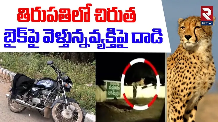 తిరుపతిలో మరోసారి చిరుత అటాక్.. || Leopard Attack In Tirupati || Tirumala || RTV