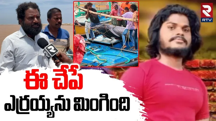 Anakapalli Fisher Man Yerrayya Incident :ఈ చేపనే ఎర్రయ్యను మింగింది | Kommu Konam Fish | RTV